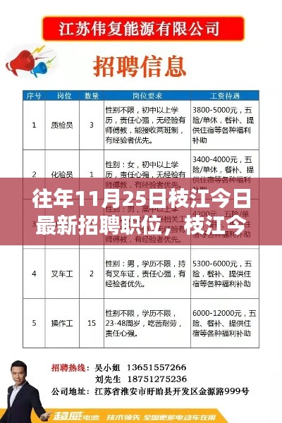 往年11月25日枝江今日最新招聘职位，枝江今日招聘热点，往年11月25日最新职位解析