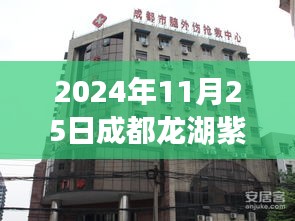 2024年11月25日成都龙湖紫宸最新动态，探秘成都龙湖紫宸，小巷深处的特色小店，2024年最新动态