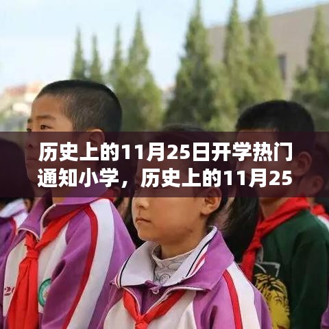 历史上的11月25日开学热门通知小学，历史上的11月25日开学，小学通知背后的教育考量