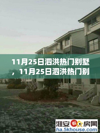 11月25日泗洪热门别墅，11月25日泗洪热门别墅，投资价值的深度剖析