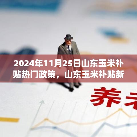 山东玉米补贴新政策，爱与陪伴的温馨篇章