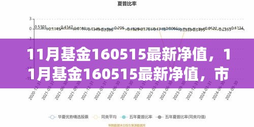 市场波动下的基金净值走势分析与展望，11月基金净值最新动态（基金代码，160515）