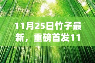 11月25日竹子最新，重磅首发11月25日竹子最新高科技产品——竹智未来，革新你的生活体验