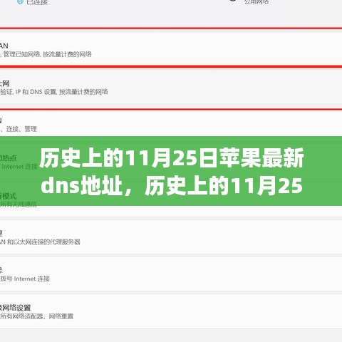 揭秘苹果DNS新地址背后的故事，变化的力量与自信的果实，历史上的11月25日回顾
