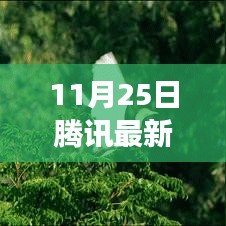 腾讯新捕鱼游戏一网情深，友情与欢乐交织的捕鱼盛宴（11月25日版）