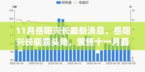 岳阳兴长崭露头角，聚焦十一月最新动态与消息更新