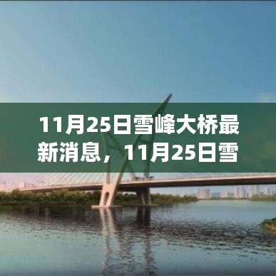 11月25日雪峰大桥最新消息，11月25日雪峰大桥最新进展，揭秘建设背后的故事