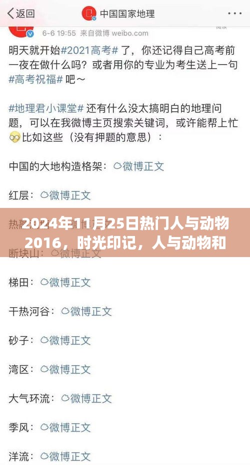 2024年11月25日热门人与动物2016，时光印记，人与动物和谐共融——回顾热门人与动物事件于特定时代的地位