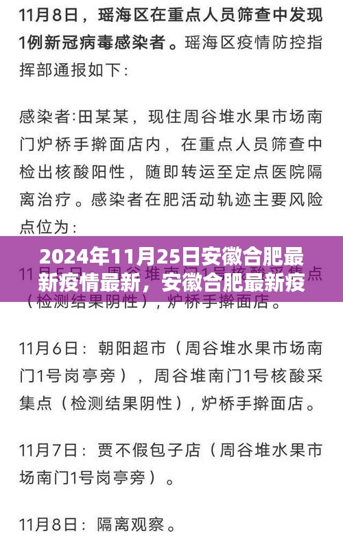 安徽合肥疫情动态更新，最新疫情报告（2024年11月25日版）