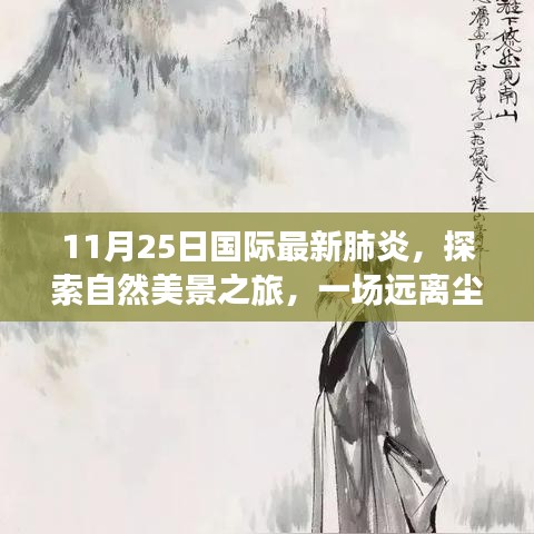 国际最新肺炎下的自然美景探索之旅，寻找内心的宁静与呼吸声