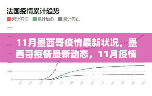 墨西哥疫情最新动态深度解析，11月疫情状况报告