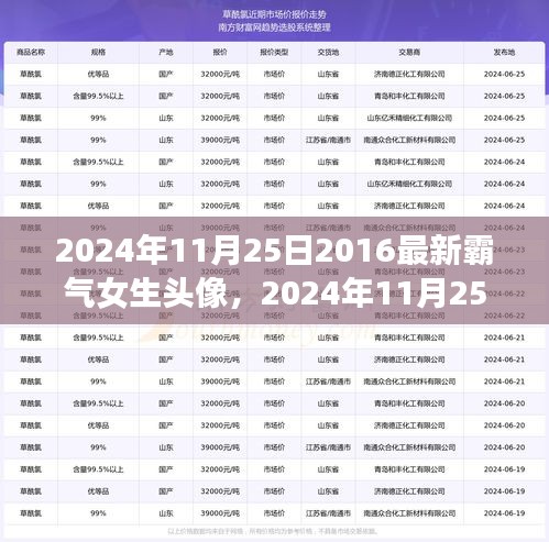 2024年11月25日2016最新霸气女生头像，2024年11月25日，回顾2016年霸气女生头像的时代影响力