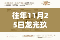 龙光玖誉府历年11月25日最新产品全面评测与介绍