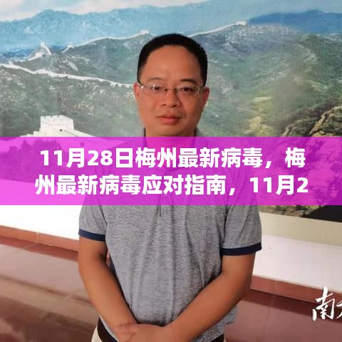 梅州最新病毒应对指南，初学者与进阶用户的防护步骤（11月28日版）