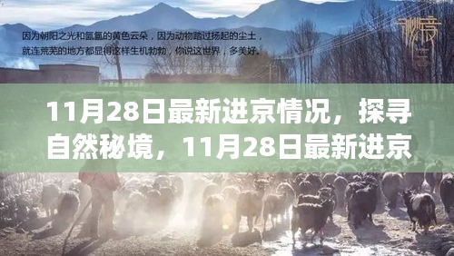 11月28日最新进京之旅，探寻自然秘境，启程心灵洗涤之旅