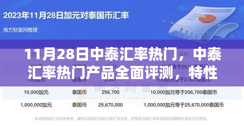 中泰汇率热门产品全面评测，特性、体验、竞品对比及用户群体深度剖析