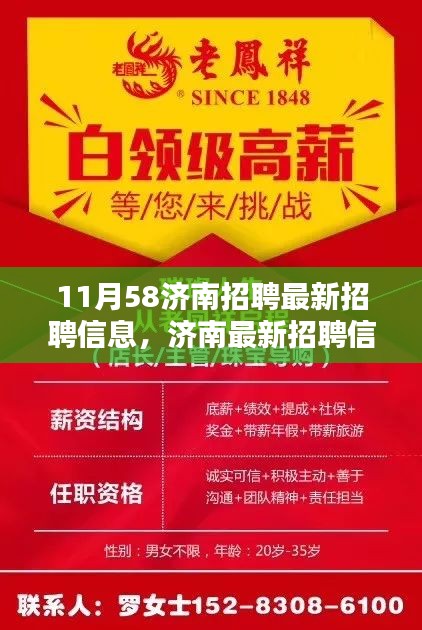 济南最新招聘资讯汇总，11月重点岗位全解析与招聘信息大揭秘