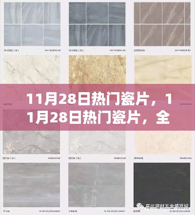 11月28日热门瓷片，全面评测与详细介绍