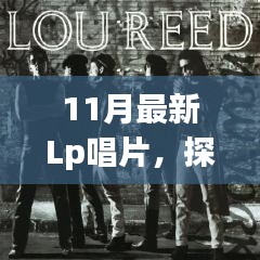 11月最新Lp唱片，探索音乐新纪元，揭秘十一月最新LP唱片潮流