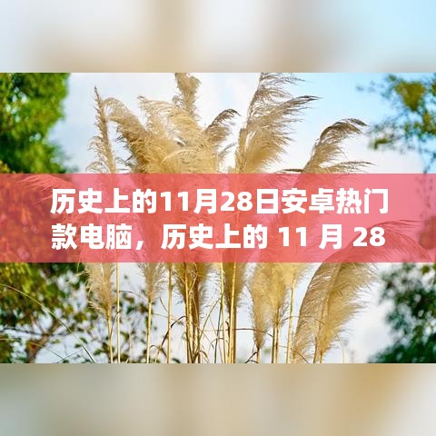 历史上的 11 月 28 日安卓热门款电脑，探索自然美景的心灵之旅回顾