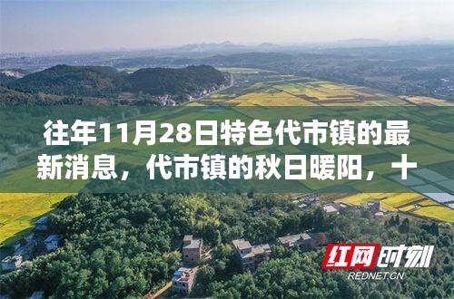 代市镇秋日暖阳，最新消息与温馨日常纪实