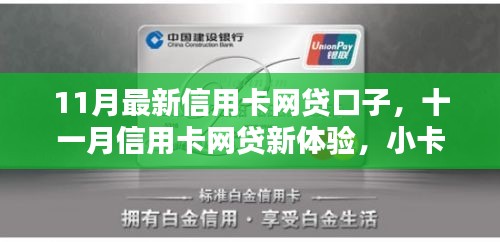 十一月信用卡网贷新体验，小卡的奇妙冒险与友情温暖