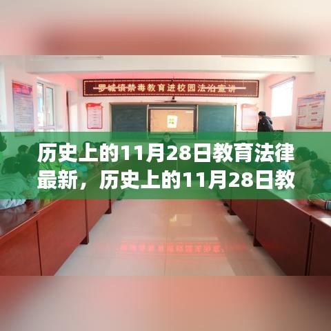 历史上的11月28日教育法律最新进展概览