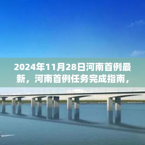 河南首例任务完成指南，从初学者到进阶用户的技能掌握与成功之路（2024年11月28日最新）