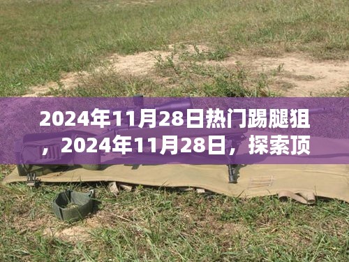 顶级踢腿狙的世界探索，2024年11月28日的热门武器