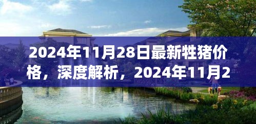 深度解析，2024年11月28日最新牲猪价格及其市场表现