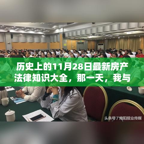 11月28日房产法律知识大全，与法律知识的温馨邂逅