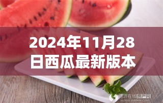 西瓜乐园，2024年最新版本温馨邂逅