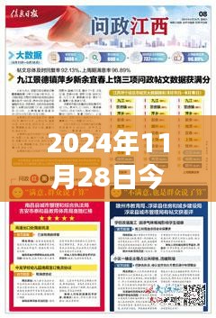 泌阳新闻热点聚焦，2024年11月28日最新消息