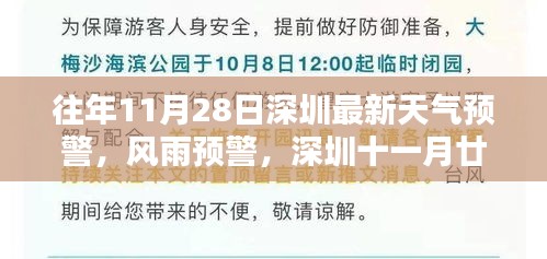 往年11月28日深圳风雨预警，特殊天气的历史回顾与影响