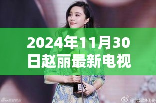 赵丽最新电视剧心之彼岸深度测评与介绍，2024年作品一览