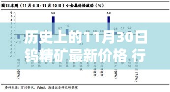 历史上的11月30日钨精矿价格深度解析，行情走势与最新价格报告