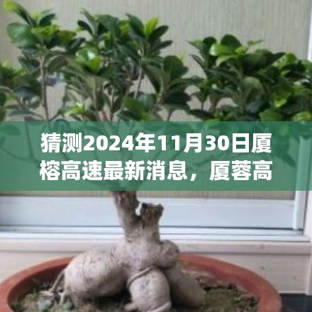 猜测2024年11月30日厦榕高速最新消息，厦蓉高速建设进展预测，2024年11月30日的最新消息分析