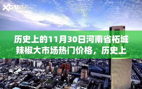 河南省柘城辣椒大市场11月30日热门价格深度解析与观点透视