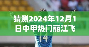 丽江飞虎崛起预测，探寻中甲联赛新纪元篇章，2024年12月1日展望