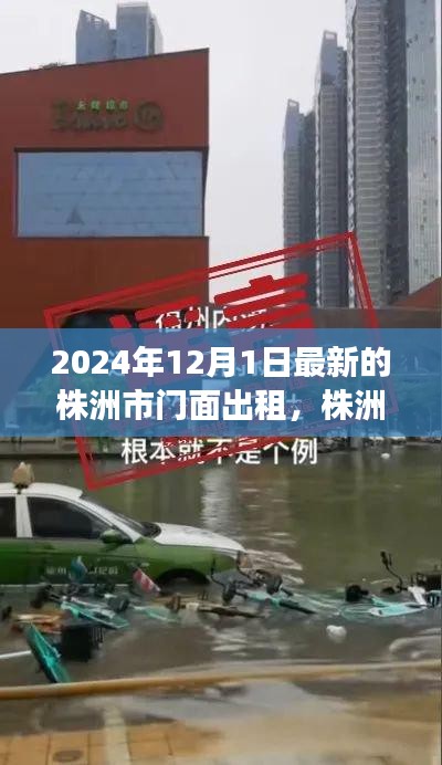 株洲市门面出租市场深度观察，最新动态与时代背景下的趋势分析（2024年最新版）