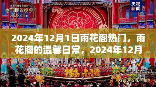 2024年12月1日 第15页