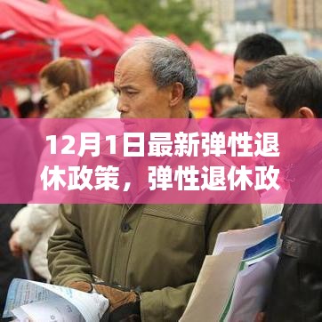 最新弹性退休政策解析及观点阐述，12月1日新动向