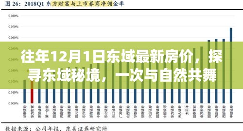 探寻东域秘境，最新房价之旅与内心的平和宁静体验（往年12月1日）