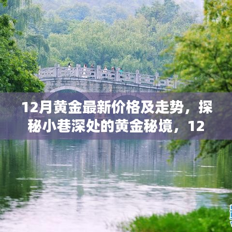 揭秘黄金市场走势，深度解读十二月黄金最新价格及未来走势预测