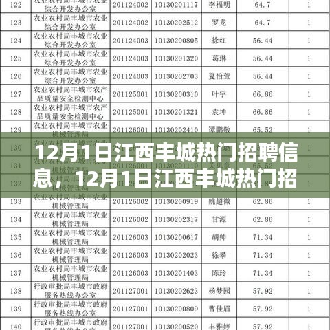 最新江西丰城热门招聘信息解析