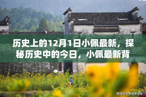 探秘历史中的今日，小佩最新背后的巷子秘密小店与历史上的12月1日