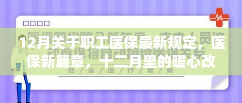 职工医保改革新篇章，暖心改革与职场趣闻揭秘（十二月版）