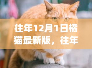 往年12月1日橘猫最新版软件更新解析，带来了哪些重大变革？