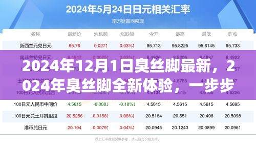 臭丝脚全新体验指南，逐步入门，探索未知领域（2024年）