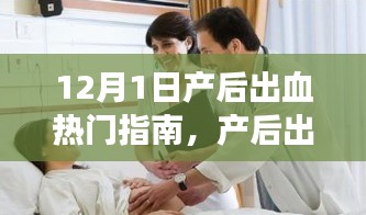 2024年12月2日 第7页